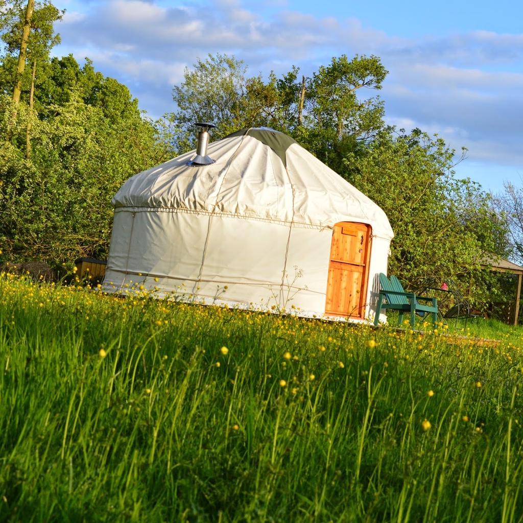 Original image 000189825